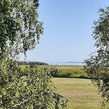 Tuule Villa Курессааре Экстерьер фото