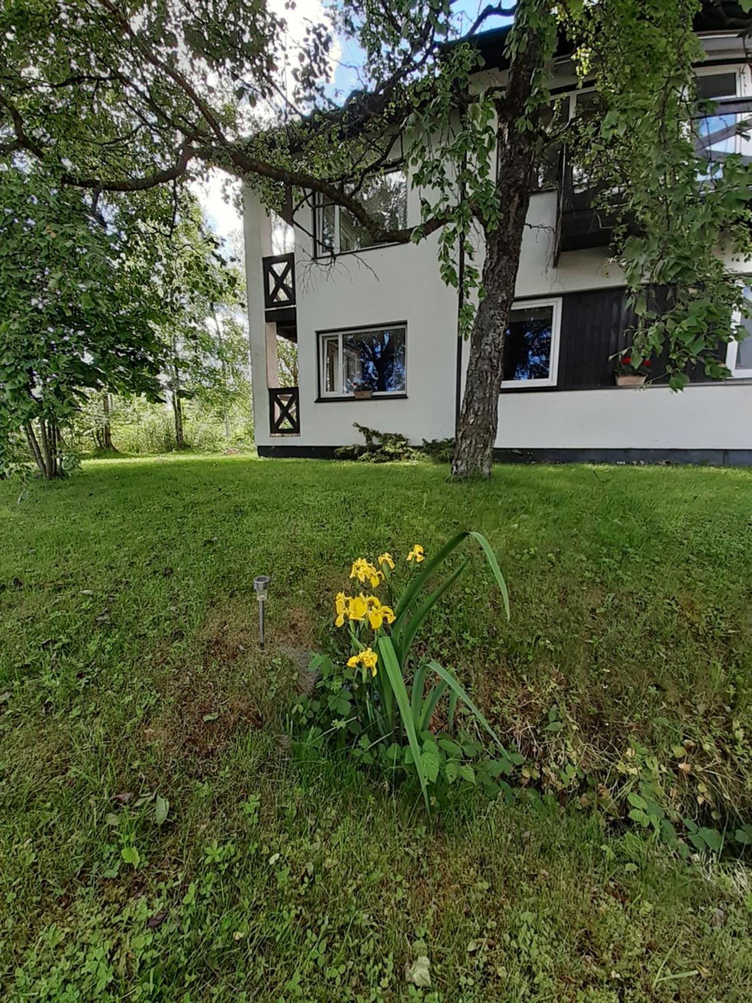 Tuule Villa Курессааре Экстерьер фото